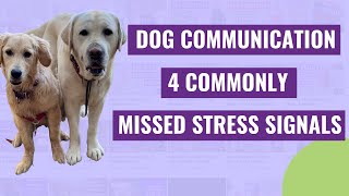 Dog Communication (4 Commonly Missed Stress Signals) by Everything Dog 1,519 views 3 years ago 7 minutes, 43 seconds