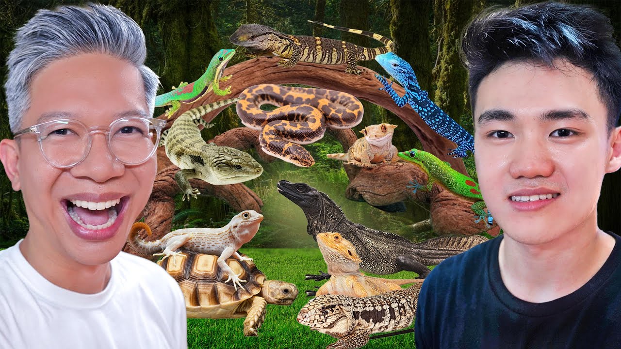 ADA RATUSAN REPTIL LANGKA DI TEMPAT INI!!