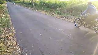 Setting ninja vs vixion