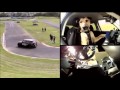Dogs Driving To Songs - Car Chase City Dogs Driving To Songs - Car Chase City
