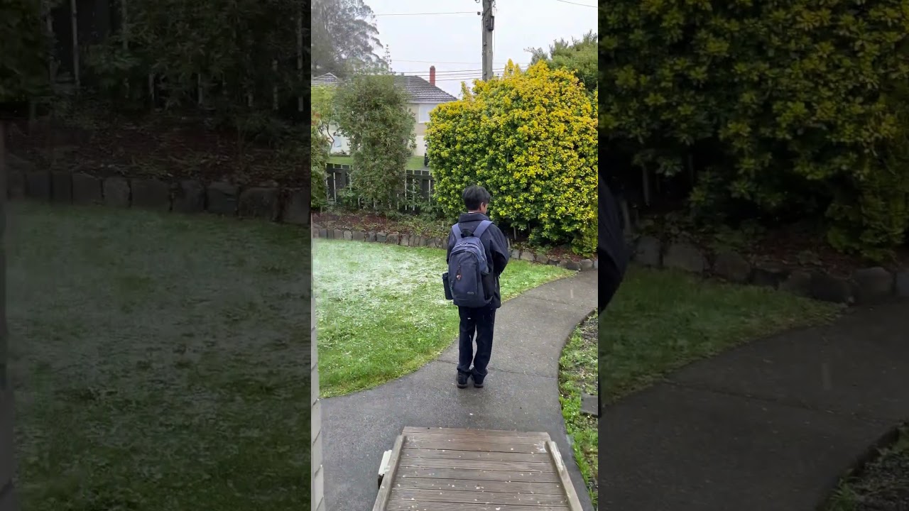 A Spring Snowfall - end of October  