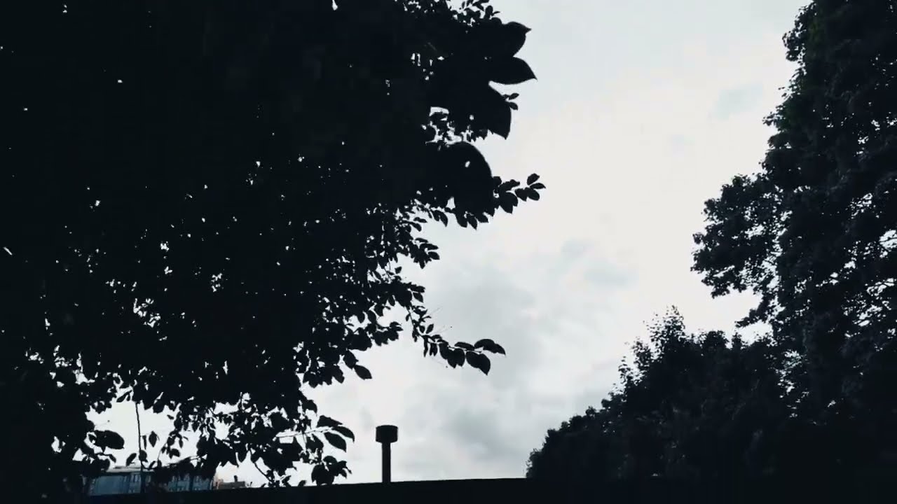 VID 20230823 014640 Русским друзьям (Адам Мицкевич)...Павел Васильев Лахтинский