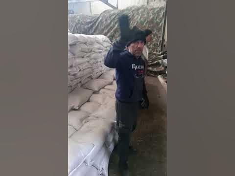семички - YouTube