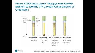 BIOL 2420 Eastfield Chapter 6 2420 Chapter 6