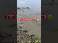 এক ঝাঁক মাছ একসাথে কোথায় যাচ্চে দেখুন।#reels #vairalvideo #shoets #shortsvideo
