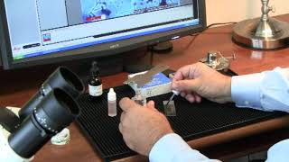 MOLD - Mounting a spore trap slide for Microscope Analysis of Mold