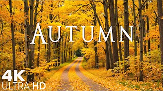 Beautiful Autumn Music🍁Restores The Nervous System🍁Autumn Melodies for Peaceful Mind & Soul Healing