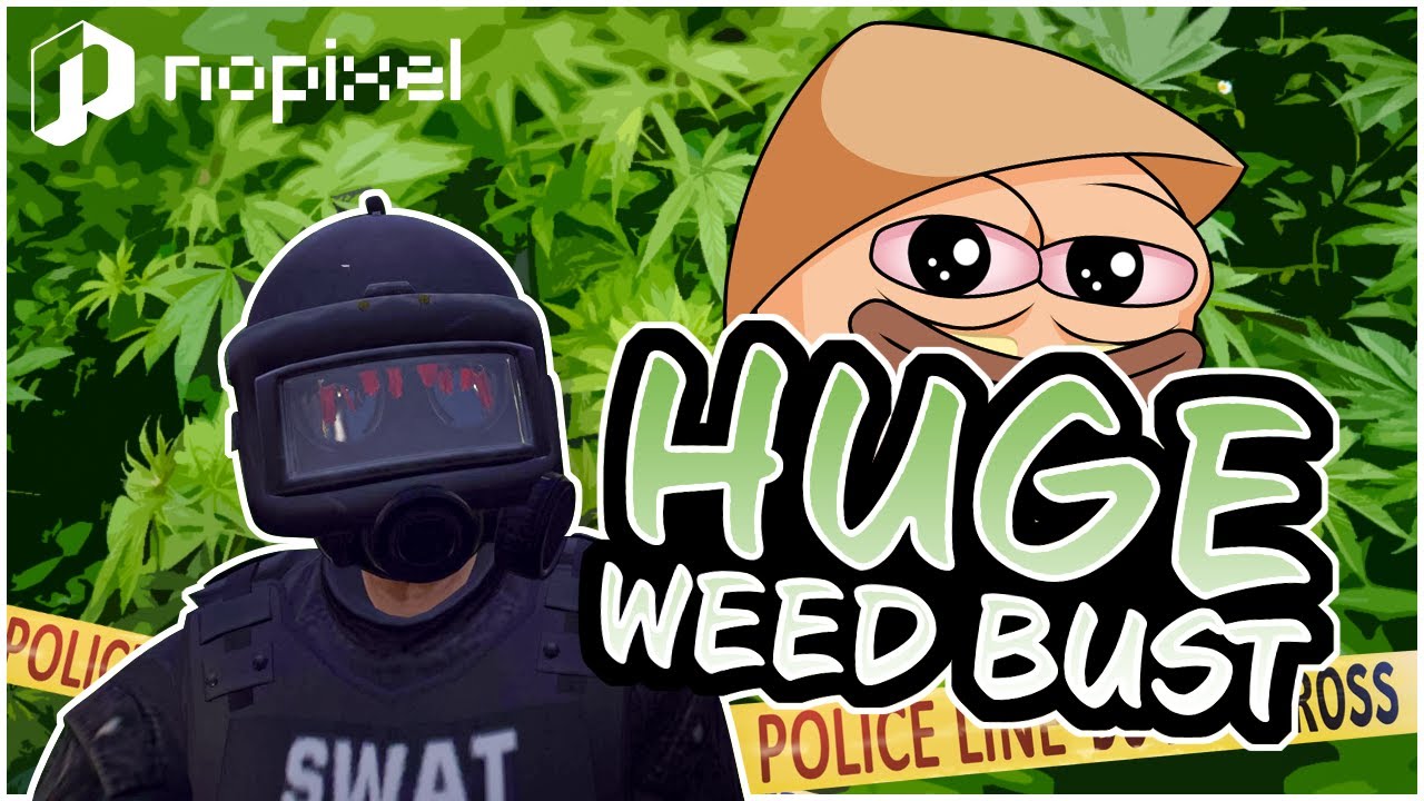 Nopixel SWAT RAID GSF WEED FARM