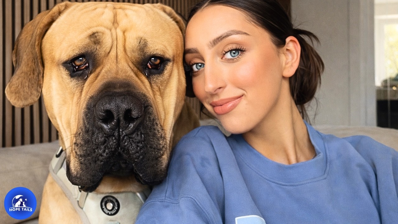 Она забрала домой 90-килограммового «монстра», которого никто не хотел, и он растопил каждое сердце.