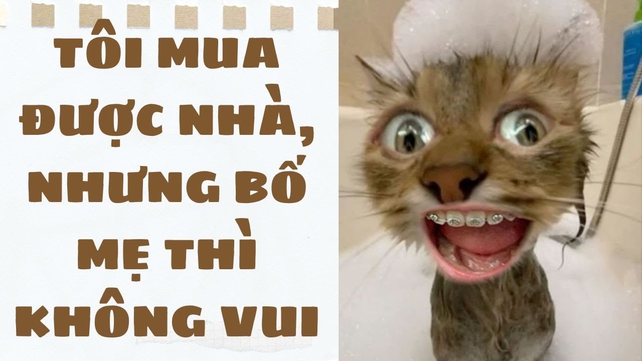 [Truyện Audio ] [FULL] TÔI MUA ĐƯỢC NHÀ, NHƯNG BỐ MẸ THÌ KHÔNG VUI || Sora Bé Bỏng