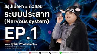 LIVE ติวสอบกลางภาค ชีววิทยา ม.6 | ระบบประสาท (Nervous system) Part 1 | ครูพี่ต้น