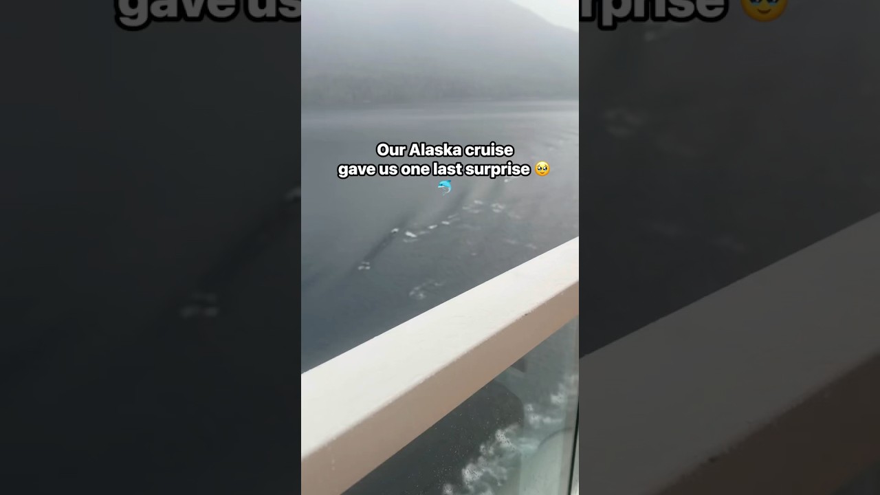 Our Alaska Cruise Gave Us One Last Surprise 🐬❄️