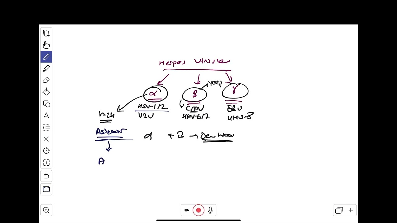 HERPES VİRÜS SINIFLAMASI