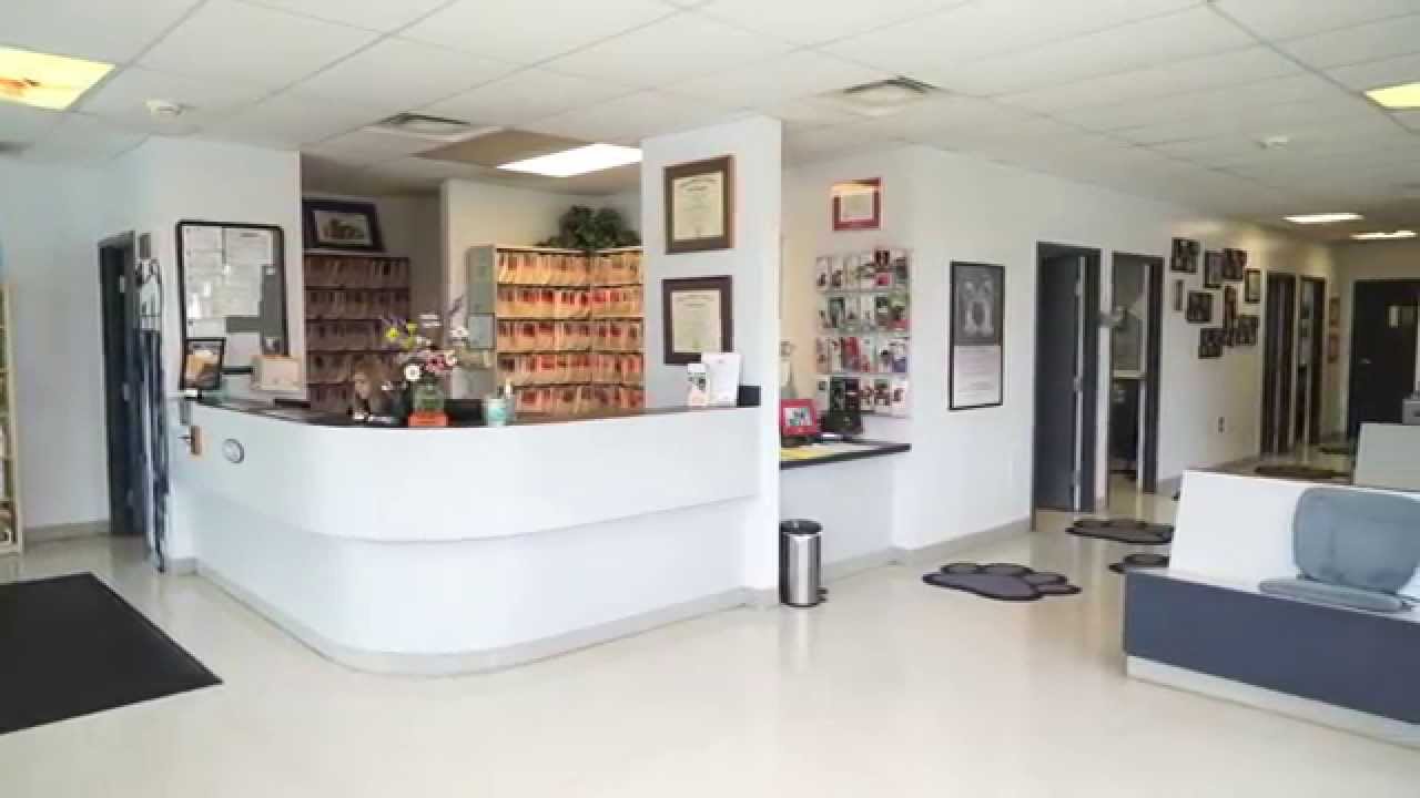 Yellow Springs Veterinary Clinic Short Frederick, MD YouTube