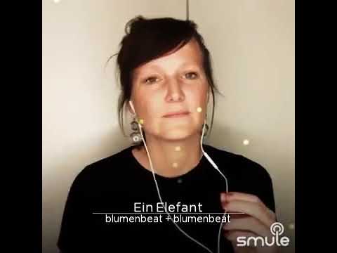 Ein Elefant für dich (Cover)