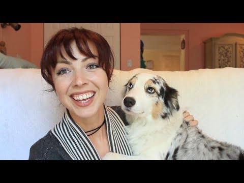 yummy-glucosamine-dog-treats-for-luca-my-australian-shepherd