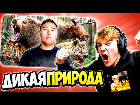 КАК ИЗБЕЖАТЬ НАПАДЕНИЯ ЗВЕРЯ? РЕАКЦИЯ на видео "Как Выжить При Нападении Диких Животных"
