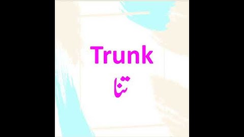 ENGLISH VOCABULARY/ ONE WORD ENGLISH VOCABULARY FOR PMS/CSS EXAMS/DAILY USE ENGLISH