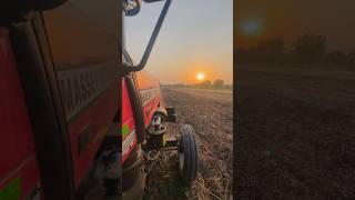Massey always king👑🚀 #trending #trendingshorts #viral #video #masseyferguson #farming #youtube