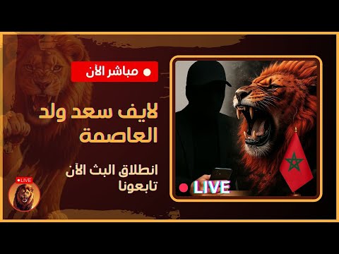 لايف ولد العاصمة  وزير الطاقة الجزائري مشروع غار جبيلات يستحيل تحققه على ارض الواقع وصدمة تبون