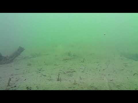 矢作川河口(SUP)-2021-0501-水深3ｍ