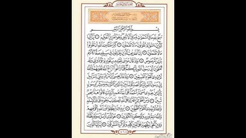 الآية الخامسة من سورة الصف