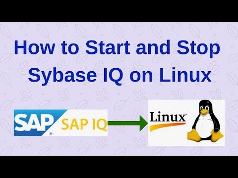 How to Start and Stop Sybase IQ Server