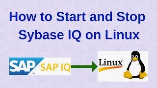 How to Start and Stop Sybase IQ Server