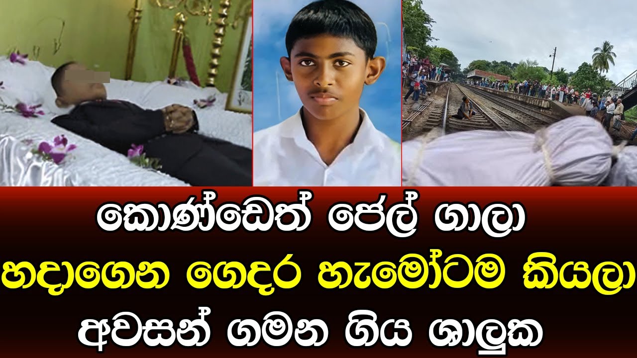 කොණ්ඩෙත් ඉත්තෑ කූරු වගේ හදාගෙන ගෙදරින් ගිය පුතා ආවෙ පෙට්ටියක
