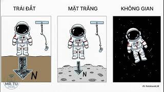 Khoa học lớp 5: Khối lượng và Trọng lượng