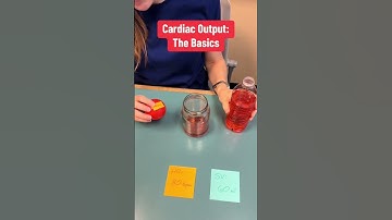 Cardiac Output Basics