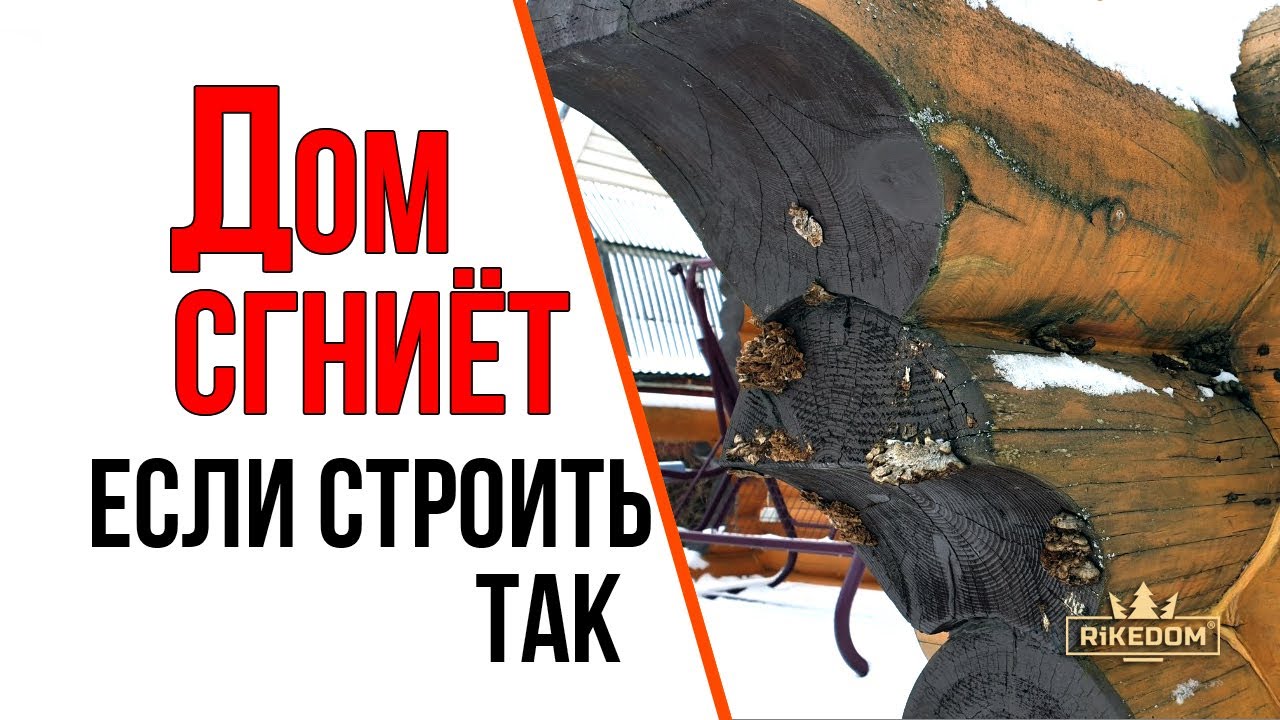 Какие мазды гниют