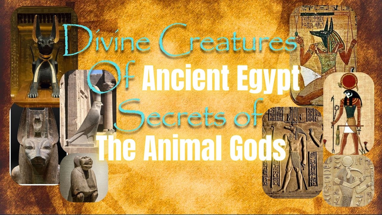 Divine Creatures Of Ancient Egypt | Secret Of The Animal Gods, Sacred Animals of Ancient Egypt.