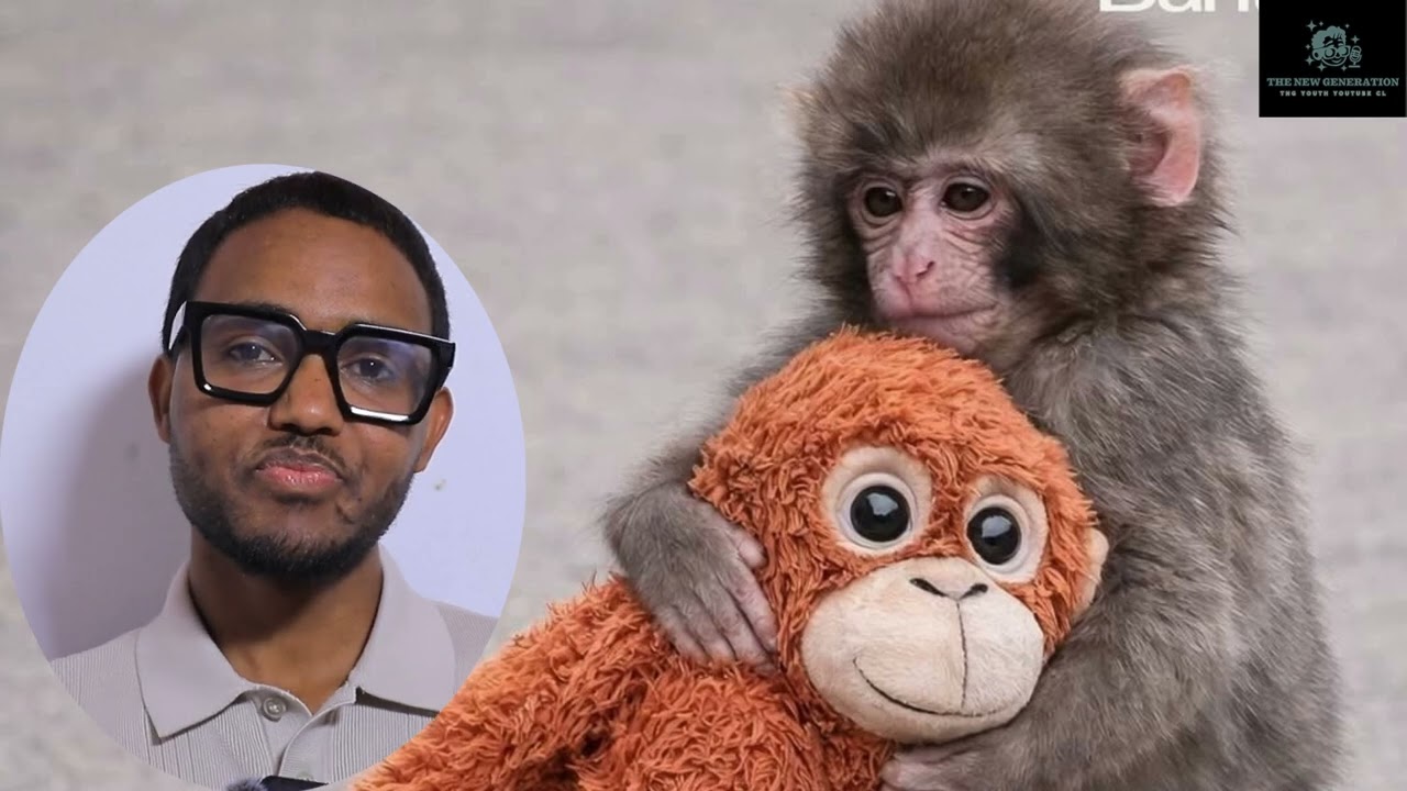 Punch እቲ ህበይ ልዕሊ ስብ ኣቅልቦ ዝረኸበ