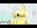 THIS WILL MAKE YOUR COCKTAILS SINGS 🎤🎤🎤👌👌👌