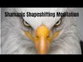 Shamanic Shapeshifting Meditation: See Your Life from an Eagle’s Perspective