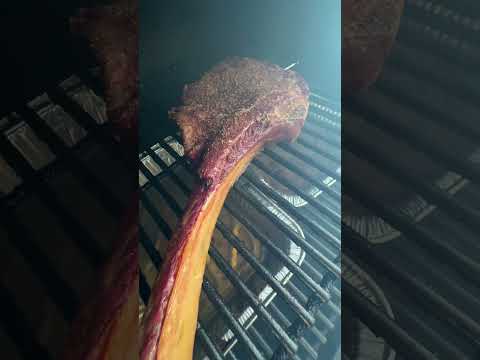 Shorts Everyone Steak