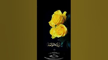 صباح الخير 💛 اجمل حالات واتس اب مقاطع قصيره💛 قران كريم ان الله وملائكته يصلون على النبي💛 بدون حقوق