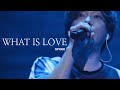 SPYAIR - WHAT IS LOVE 한글 자막/번역