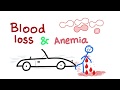 Blood Loss and Anemia