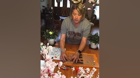 NC.1.G.3 Partition circles and rectangles into two and four equal shares; subitizing; StreetLiveTV