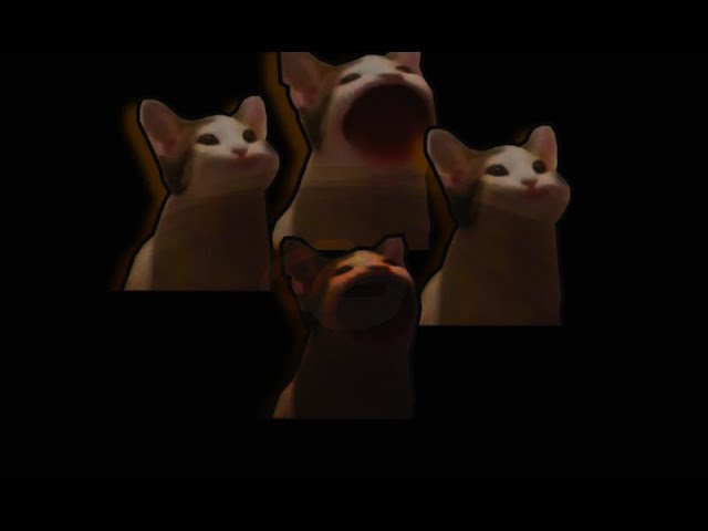 Cat Pop Bohemian Rhapsody 