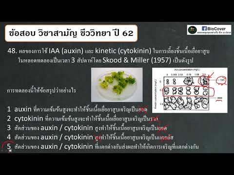 เฉลย #9วิชาสามัญชีวะ ปี 62 ข้อ 47-49 : ชนิดของผลและฮอร์โมนพืช