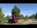 J. L. Key Co., Inc. Tree Transplanting in Colorado with a 90D Big-John Tree Transplanter