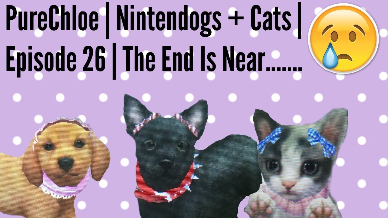 PureChloe | Nintendogs + Cats | Episode 26 | The End Is Near.......