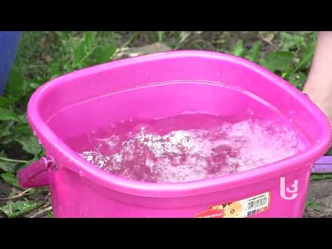 სოფელ მუგარეთში დაბინძურებული წყალი მოდის