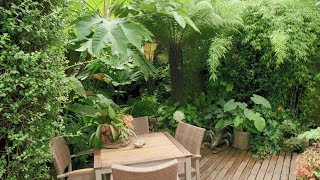 3 Tropical Jungle Gardens on 3 continents