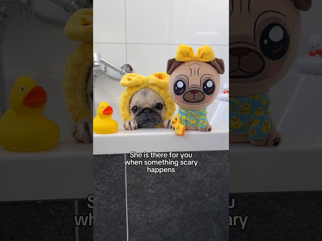 Lou Lou the Pug: The Loveable and Mischievous Companion 3 sddefault
