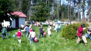 Easter Egg Hunt Fiasco