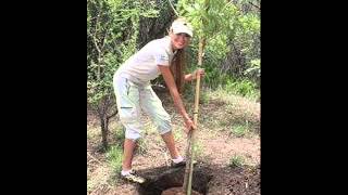 Canım Arkadaşım Doğum Günün Kutlu Olsun